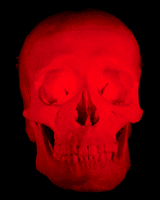 a red skull shaking its head no