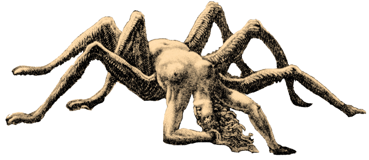 a woman with four limbs grafted to her