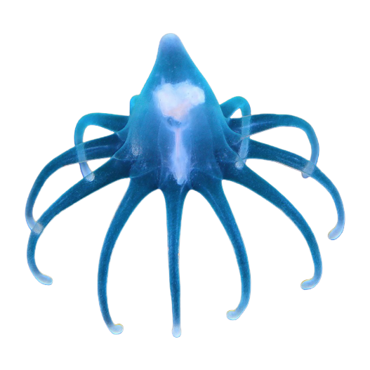 tube-dwelling anemone larva