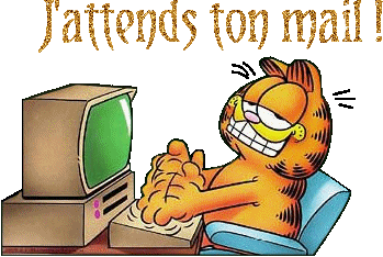 garfield typing with 'j'attends ton mail' above him